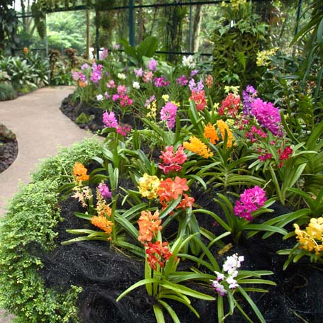 Showtuin 2